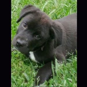 Meet your Posher, Carmen